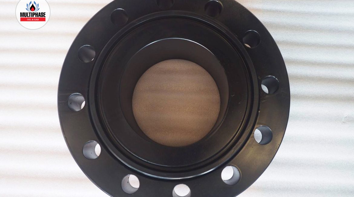 Swivel & WN Flange